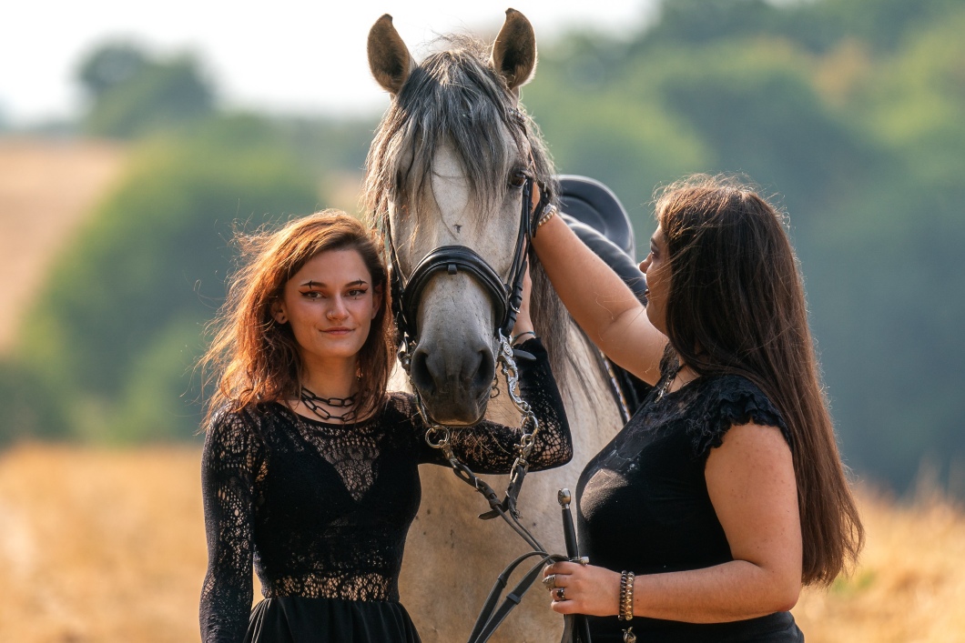 Bild zusammen Pferd v3